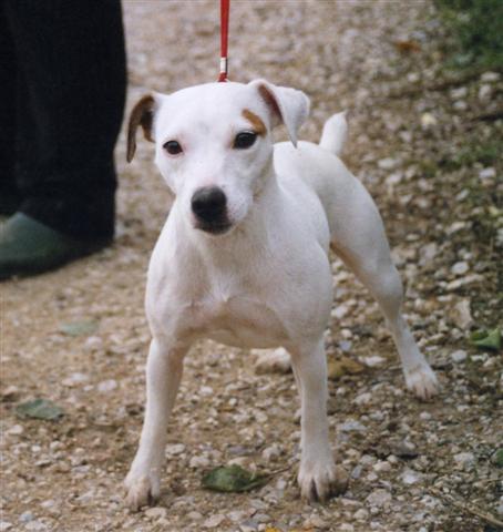 Ubaye 2 de l'Oasis des Noyarets